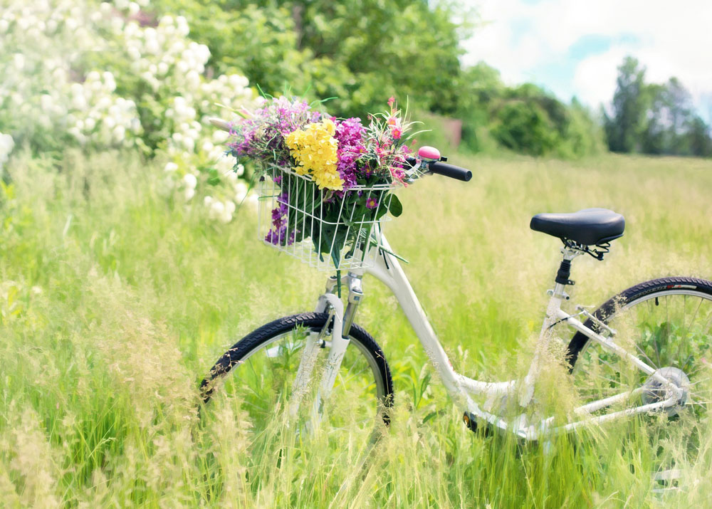 bycicle2